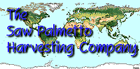 Saw Palmetto Harvesting Company logo